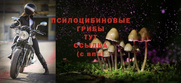 амф Пролетарск