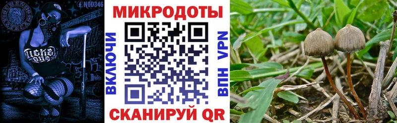 Галлюциногенные грибы MAGIC MUSHROOMS  дарнет шоп  Лобня 